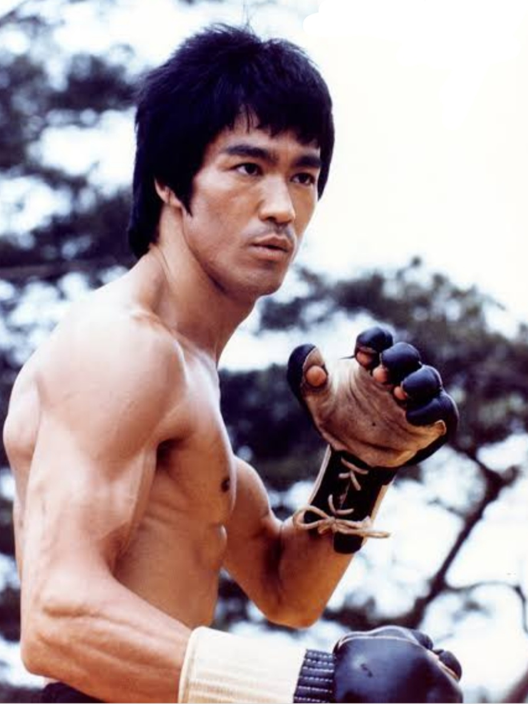 Bruce Lee cause of death