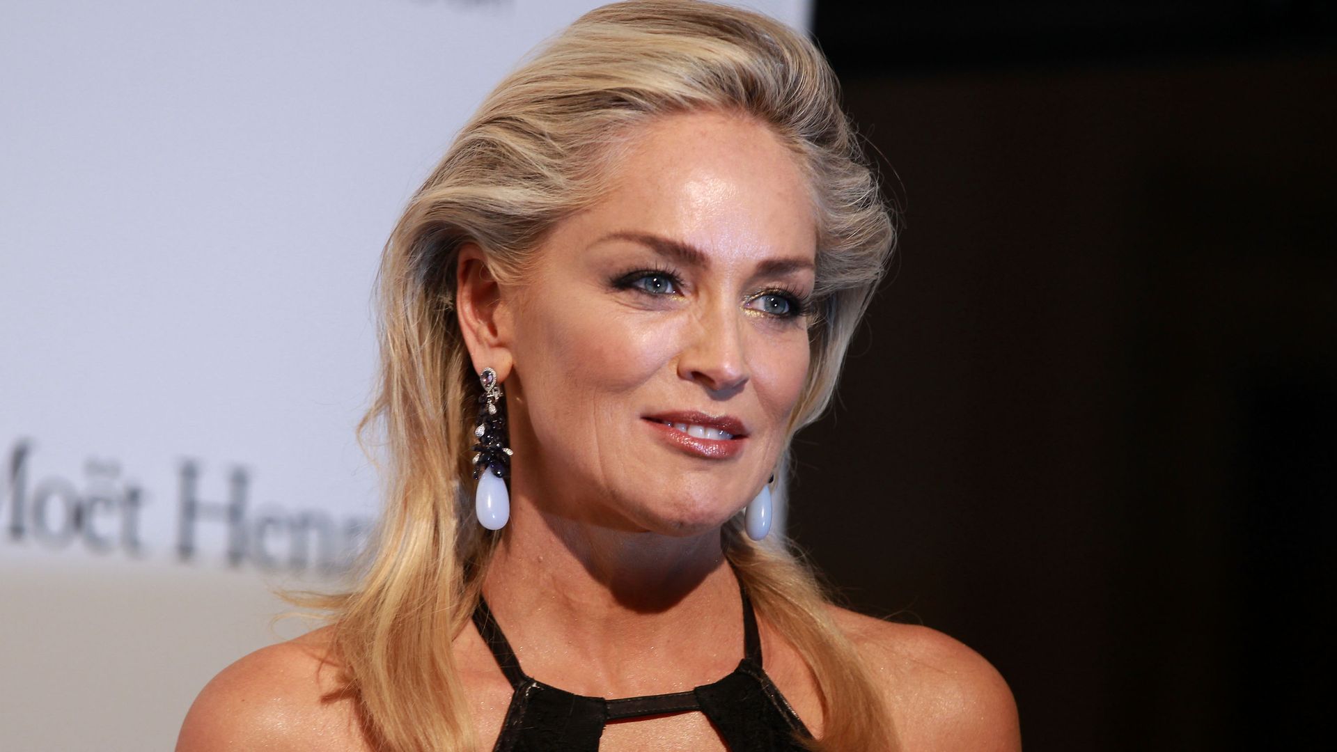 Sharon Stone Was Denied the Role of Barbie in the 90s